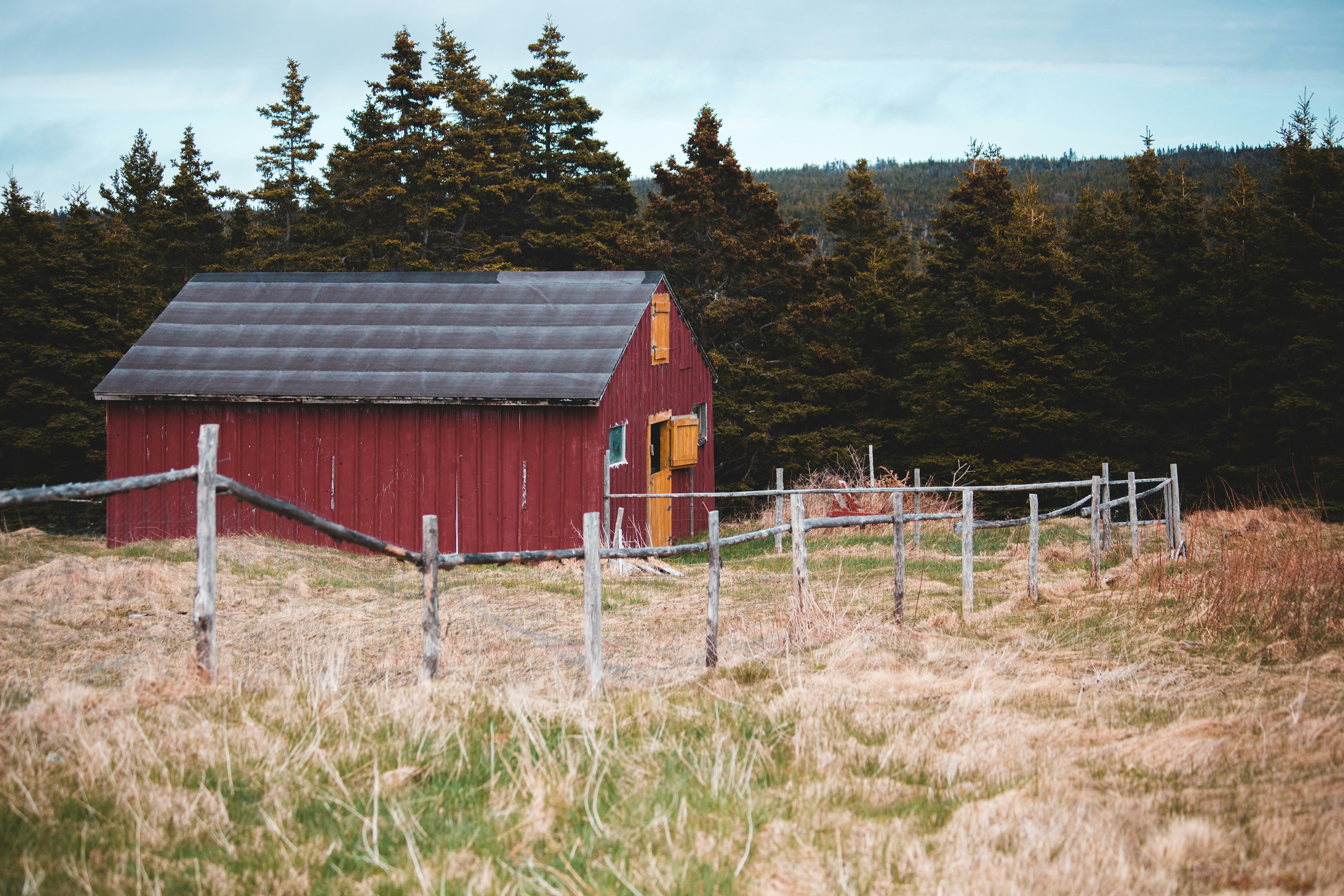 A sturdy barn and enclosed livestock area