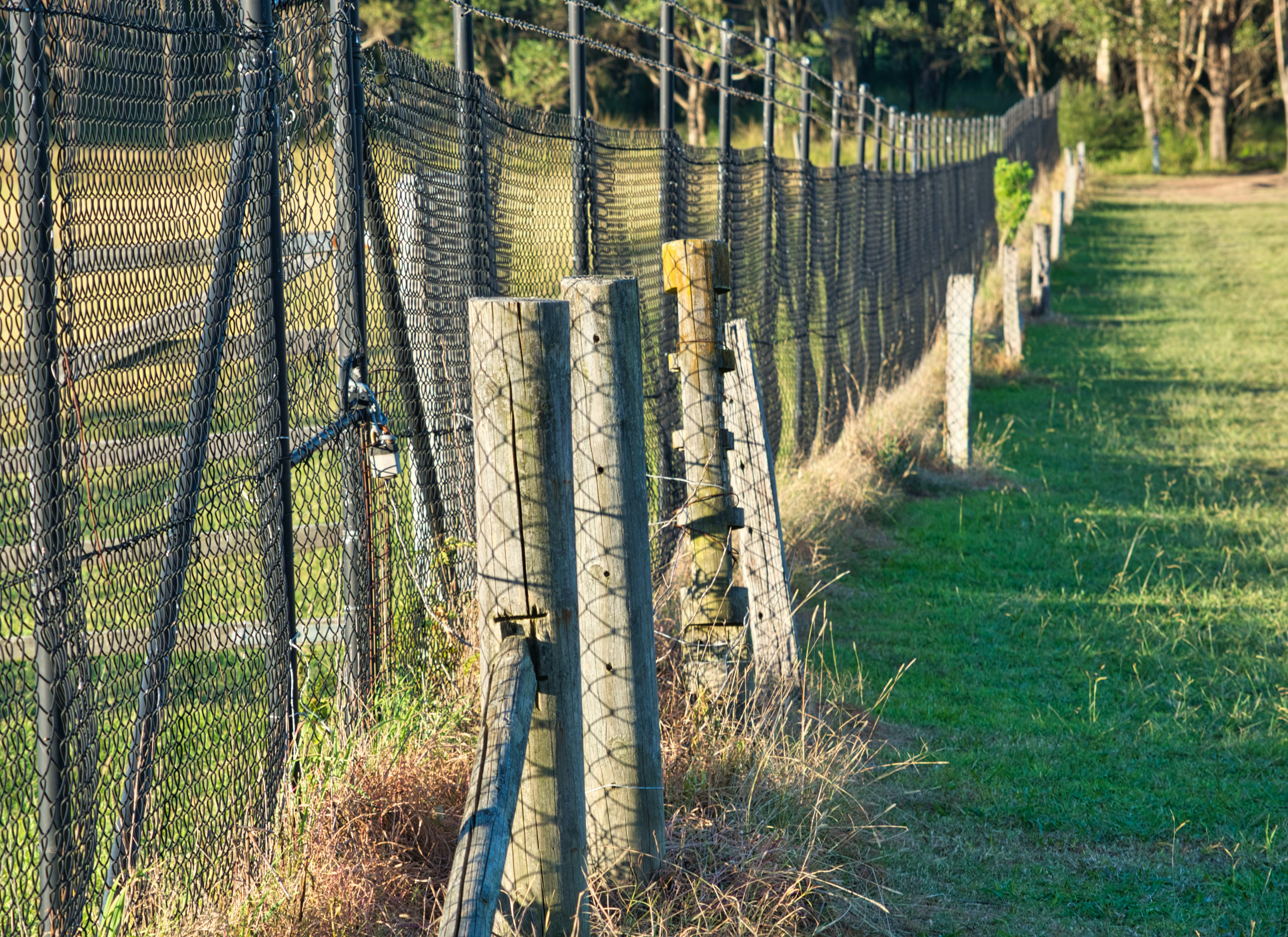 Livestock fencing along a pasture