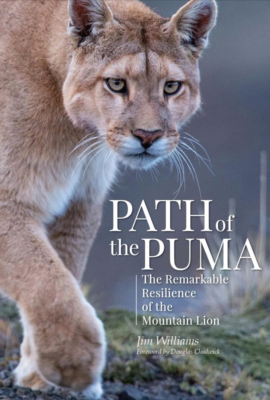 Cover of Path of the Puma by Jim Williams